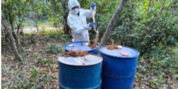 Aseguran casi 20 mil litros de precursores químicos en Culiacán y Cosalá