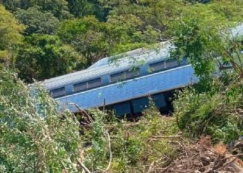 Recuperan 13 muertos tras accidente del Tren Interoceánico: Semar.