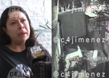 Tres pitbulls atacan a una joven en Tláhuac, CDMX