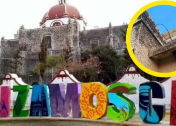 ¡Quéee! Tizamosca, viralizada por fuerte plaga