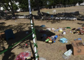 Disputa entre cárteles provocó la masacre en Salamanca.
