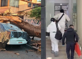 CDMX: Un fallecido y 12 lesionados tras sismo de 6.5.