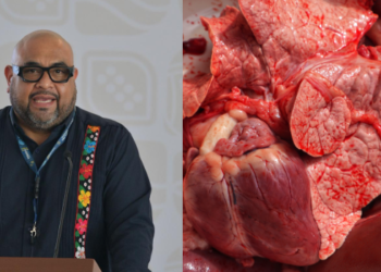 Caen dos caníbales en Tabasco y van tras cinco más