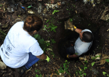 Encuentran fosa clandestina con 33 cuerpos en Guanajuato.