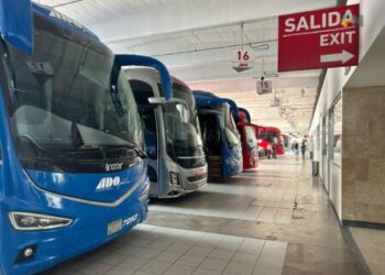 Terminales acaparadas por seis grupos, dificultan la competencia a nuevas líneas