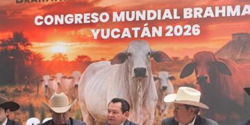 Mérida, Yucatán, sede del Congreso Mundial Brahman 2026