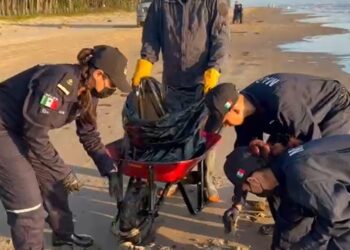 Más de 700 toneladas de contaminante han recolectado, tras derrame de crudo en el Golfo de México