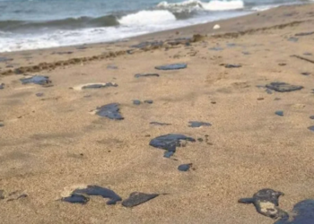 Tabasco y Veracruz luchan contra derrame de petróleo.