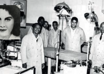 Juego de ojos: El jardinero que trasplantaba corazones.