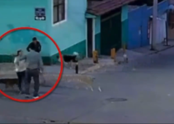 Mujer es atacada con machete tras defender a perros callejeros.