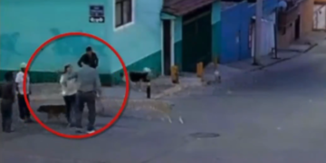 Mujer es atacada con machete tras defender a perros callejeros.