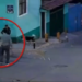 Mujer es atacada con machete tras defender a perros callejeros.