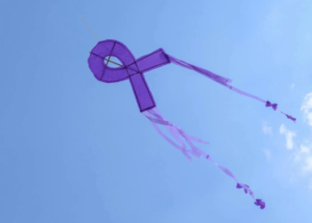 Promueve SEPH igualdad de género con concurso de papalotes.