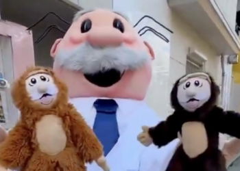 ¡VIRAL! “Punch” y “Lupe” llegan a los peluches del Dr. Simi.