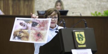 Diputada panista, para generar alarma, presenta material falso en Congreso de Yucatán