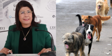 Exalcaldesa de Tecámac ordenó matar a 10 mil perros (VIDEO).