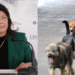 Exalcaldesa de Tecámac ordenó matar a 10 mil perros (VIDEO).