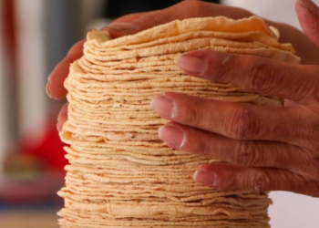 Agricultura y Profeco descartan aumento del precio de la tortilla.