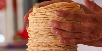 Agricultura y Profeco descartan aumento del precio de la tortilla.
