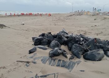 Con VIDEO denuncian el abandono de bolsas con chapopote en playas de Veracruz