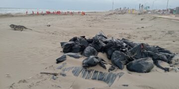 Con VIDEO denuncian el abandono de bolsas con chapopote en playas de Veracruz