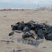 Con VIDEO denuncian el abandono de bolsas con chapopote en playas de Veracruz