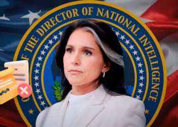 Sale Tulsi Gabbard del gabinete de Trump; Aaron Lukas asumirá Inteligencia interina