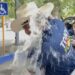 Bañan con limonada a Tony Flores en pleno recorrido; mujer afirma que fue en defensa