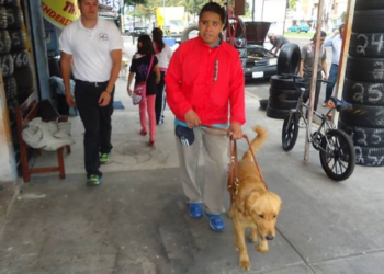 Escuela mexicana pionera de perros guía enfrenta el cierre.