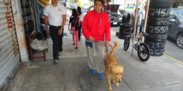 Escuela mexicana pionera de perros guía enfrenta el cierre.