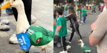 “Merlín”, pato mundialista que conquistó las redes en la fiesta del Tri