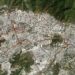 NASA estima casi 59 mil edificios dañados o destruidos en Venezuela