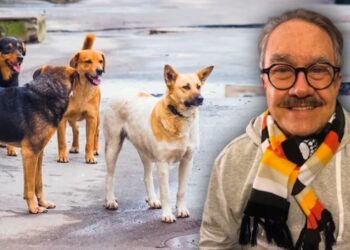 PAOT reprueba a Pedro Sola por apología al maltrato animal.