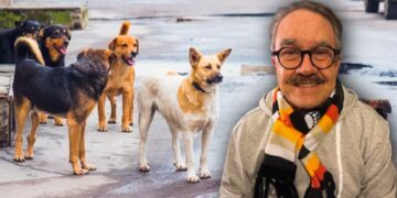 PAOT reprueba a Pedro Sola por apología al maltrato animal.