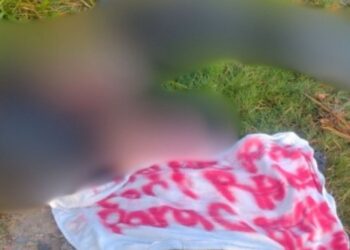 Hallan dos desmembrados en Tabasco y atacan a regidora en Veracruz