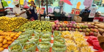 INEGI: Jitomate cae 29% y ayuda a frenar la inflación.