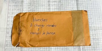 China consume aguacate con sello de La Familia Michoacana