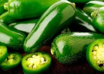 Salmonela en EU: chiles de Sinaloa causan 36 hospitalizaciones y alerta en 27 estados