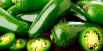 Salmonela en EU: chiles de Sinaloa causan 36 hospitalizaciones y alerta en 27 estados