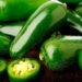 Salmonela en EU: chiles de Sinaloa causan 36 hospitalizaciones y alerta en 27 estados