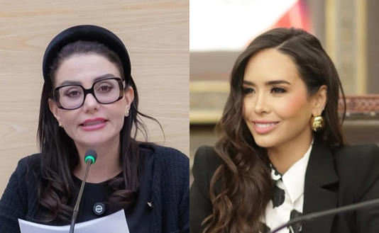 Morena suspende derechos a Salvatori y Palomares por burlas contra adultos mayores