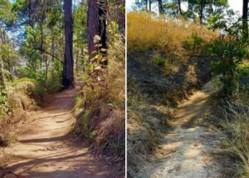 Valle de Bravo pide reforzar vigilancia en Monte Alto tras reportes de robos