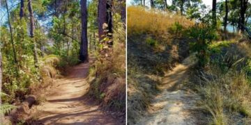 Valle de Bravo pide reforzar vigilancia en Monte Alto tras reportes de robos