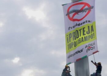 Greenpeace exige frenar megaplanta de amoniaco en Topolobampo