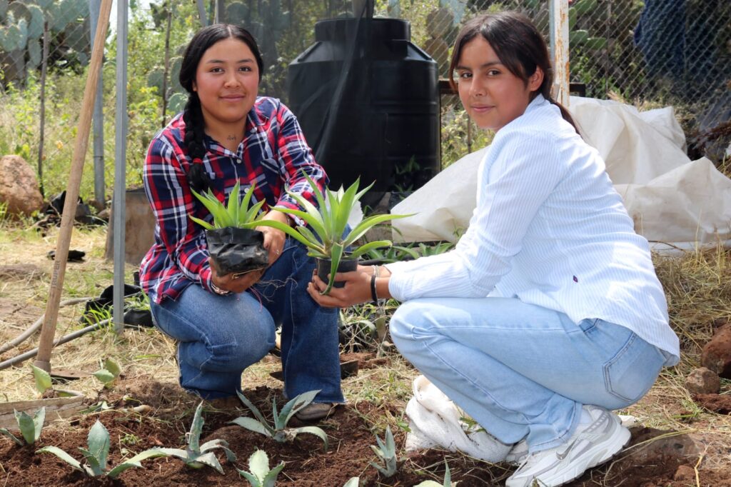 Investigación del ITESHU impulsa conservación del agave en Hidalgo