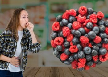 ¡Atención! Retiran lote de frutos rojos Great Value por E. coli