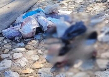 Crimen en Guerrero: matan a Guardia Nacional y 2 hombres más
