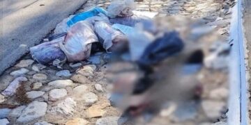 Crimen en Guerrero: matan a Guardia Nacional y 2 hombres más