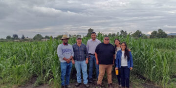 ITESHU y CIMMYT desarrollan alternativas para mejorar la producción agrícola