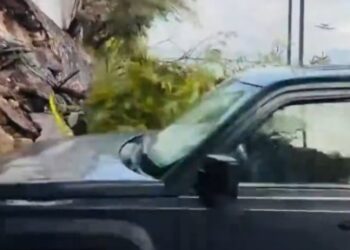 VIDEO: Reportera es atropellada mientras informaba sobre las lluvias en Monterrey.